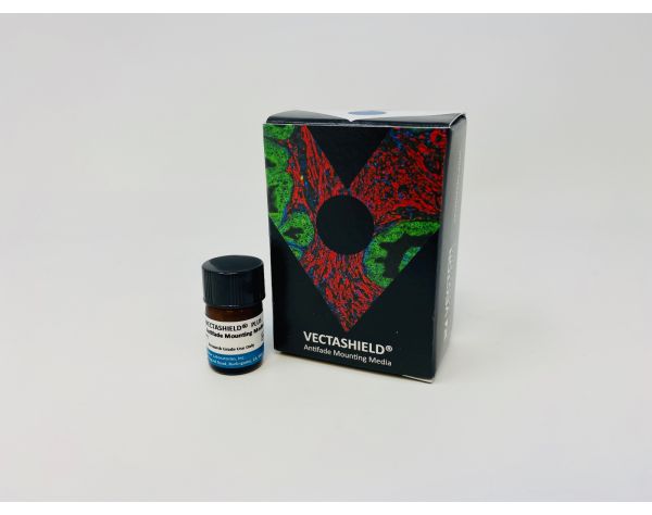 Vectashield plus 2 ml