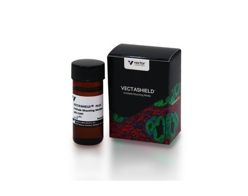 Vectashield plus with dapi 10 ml