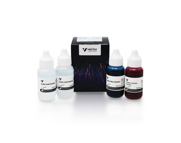 Alcian blue (ph 2.5) stain kit