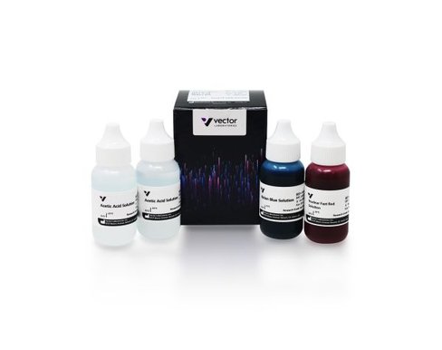 Alcian blue (ph 2.5) stain kit