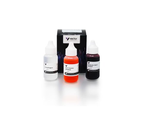 Hematoxylin and eosin stain kit