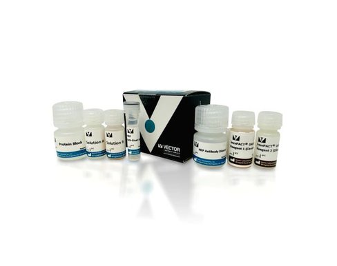 Human on human immunodetection kit