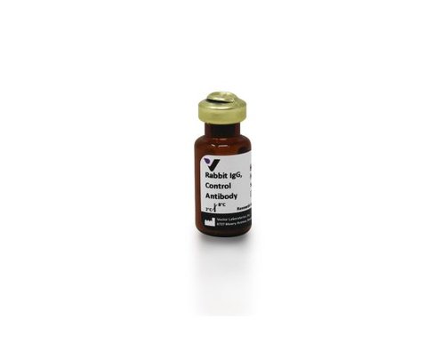 Rabbit igg 5 mg
