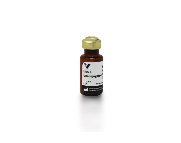 Ulex europaeus agglutinin i 2 mg