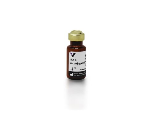 Ulex europaeus agglutinin i 2 mg
