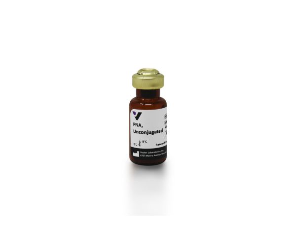 Peanut agglutinin 5 mg