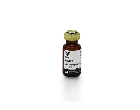 Ricinus communis agglutinin i (120) 10 mg