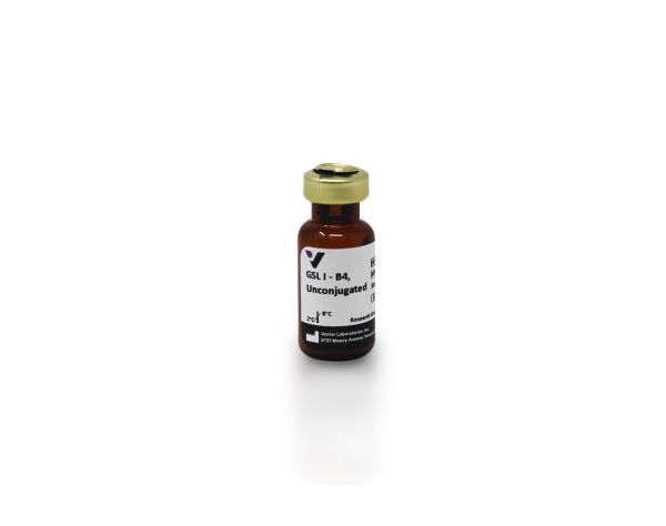 Griffonia simplicifolia lectin i - b4 (gsl i-b4) 1 mg
