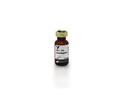 Griffonia simplicifolia lectin i - b4 (gsl i-b4) 1 mg
