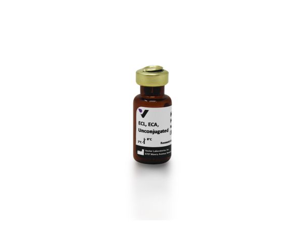 Erythrina cristagalli lectin 10 mg