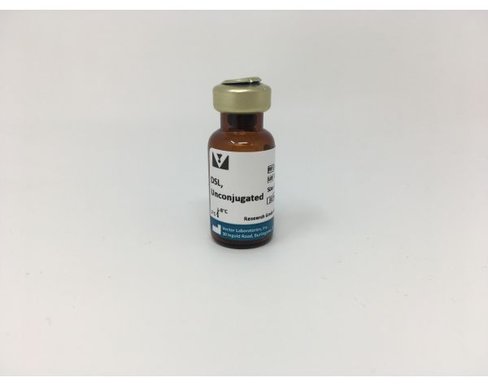 Datura stramonium lectin 5 mg