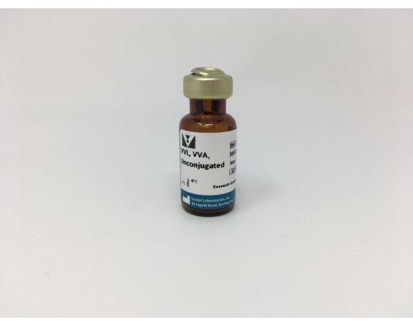 Vicia villosa lectin 5 mg