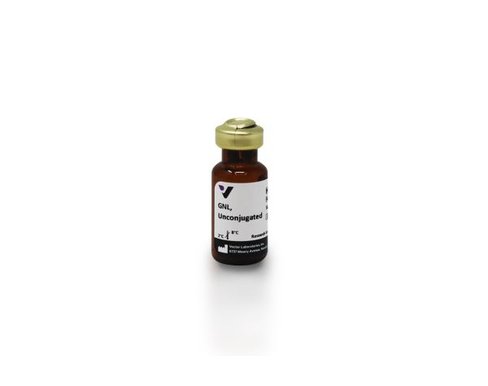 Galanthus nivalis (snowdrop) lectin 5 mg