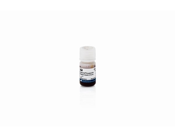 Magnalink streptavidin magnetic beads (10 mg/ml)