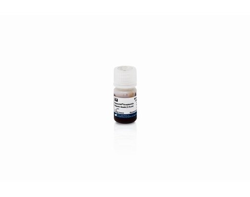 Magnalink streptavidin magnetic beads (10 mg/ml)