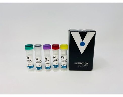 5 endtag kit