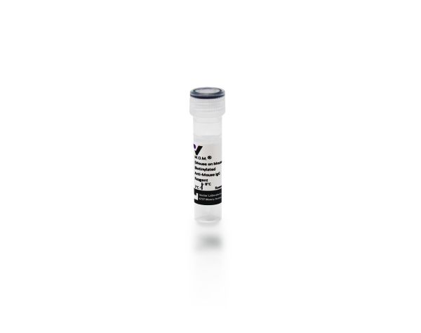 Mom biotinylated anti-mouse igg (made in horse) (0.1ml)