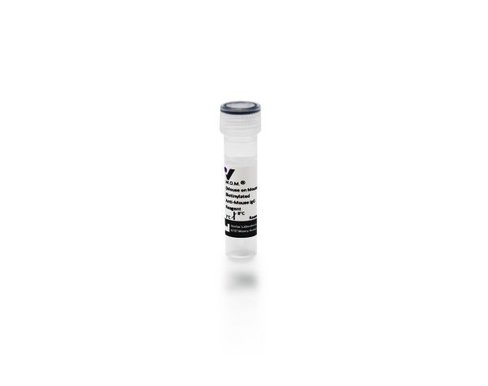 Mom biotinylated anti-mouse igg (made in horse) (0.1ml)