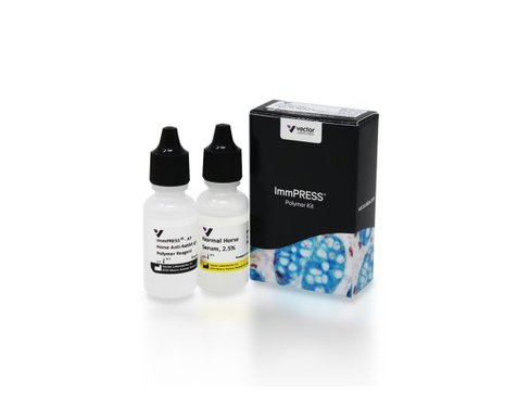 Immpress ap anti rabbit ig kit 15 ml