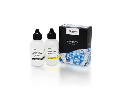 Immpress ap anti rabbit ig kit 50 ml