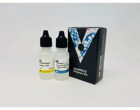 Immpress ap anti mouse ig kit 15 ml