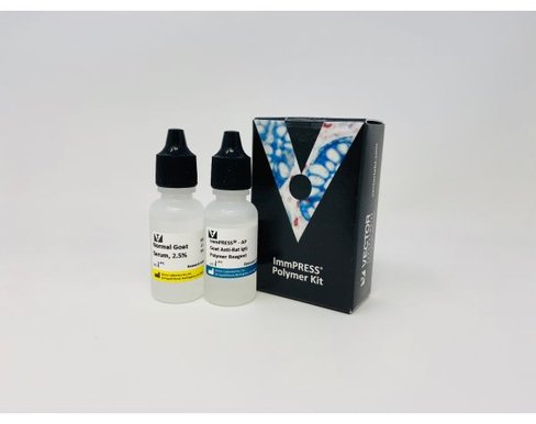 Immpress -ap anti-rat igg (made in goat) kit (15 ml)