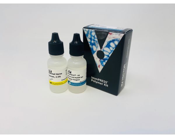 Immpress -vr anti-rabbit igg kit (15 ml)