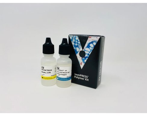 Immpress -vr anti-mouse igg kit (15 ml)