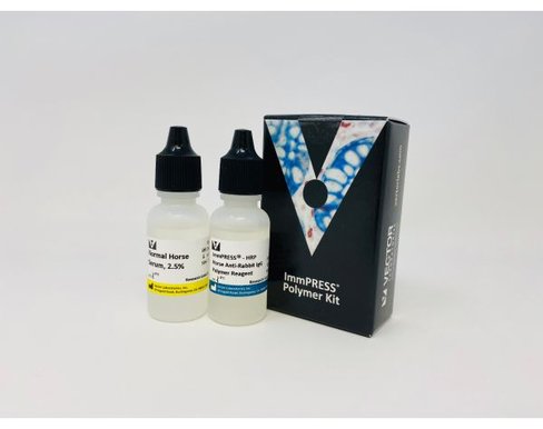 Immpress horse anti-rabbit igg kit 15 ml