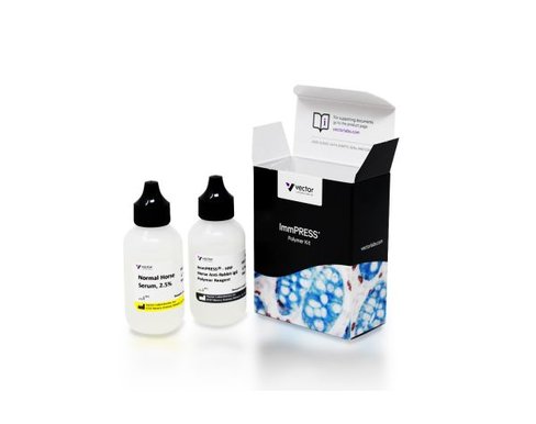 Immpress horse anti rabbit igg kit 50 ml