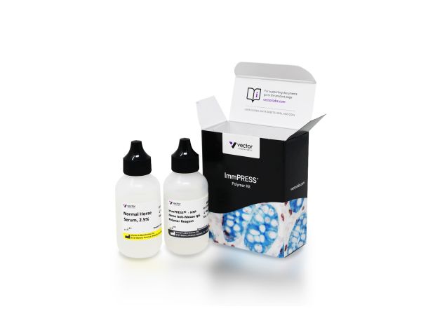 Immpress horse anti-mouse igg kit 50 ml