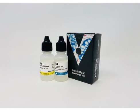 Immpress anti-mouse igg (rat adsorbed) kit 15 ml