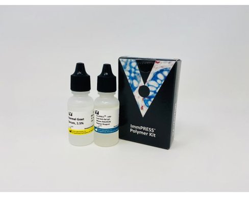 Immpress anti-rat (-mouse) ig kit 15 ml