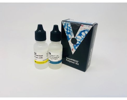 Immpress anti-rabbit igg (made in goat) kit 15 ml