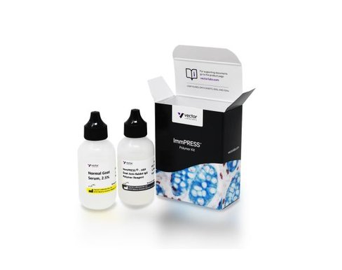 Immpress anti-rabbit igg (made in goat) kit 50 ml