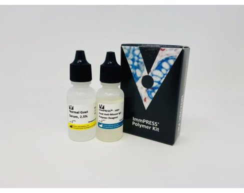 Immpress anti-mouse igg (made in goat) kit 15 ml