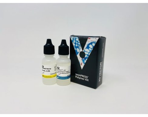 Immpress universal (horse anti-rabbit/mouse igg) kit 15 ml