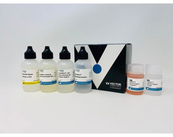 Immpress excel amplified anti-rabbit igg kit 50 ml