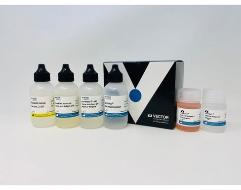 Immpress excel amplified anti-rabbit igg kit 50 ml