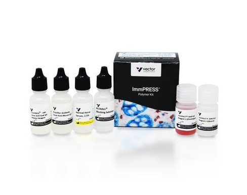 Immpress excel amplified anti-mouse igg kit 15 ml