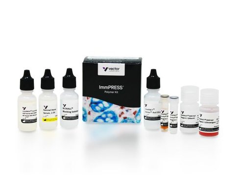 Immpress duet kit (anti-rabbit igg/anti-mouse igg) 15 ml