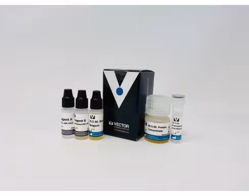 Vector mom kit (peroxidase)