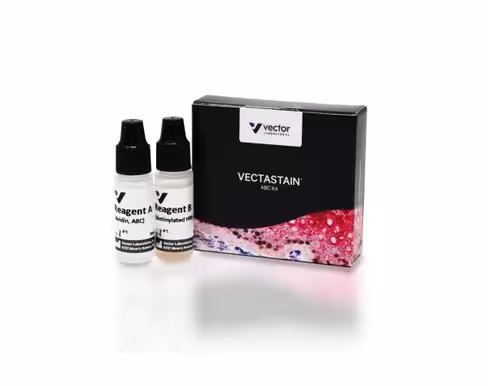 Vectastain abc standard kit