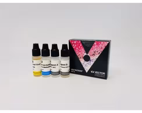 Vectastain abc kit (rabbit igg)