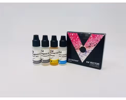 Vectastain abc kit (mouse igg)