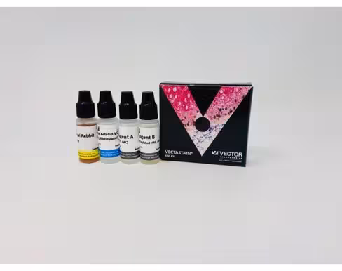Vectastain abc peroxidase kit (rat igg)