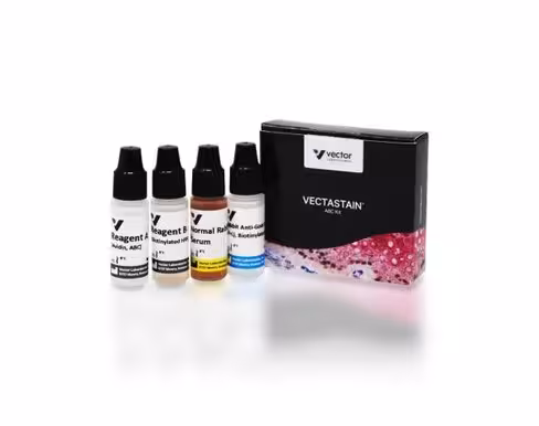 Vectastain abc kit (goat igg)