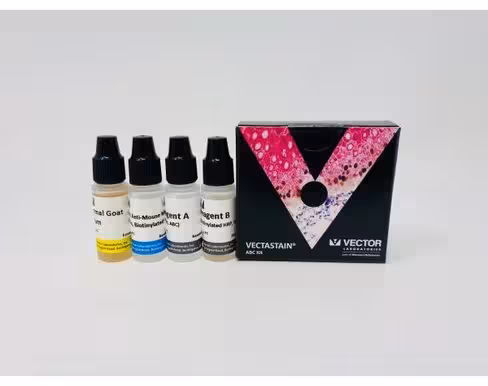 Vectastain abc peroxidase kit (mouse igm)