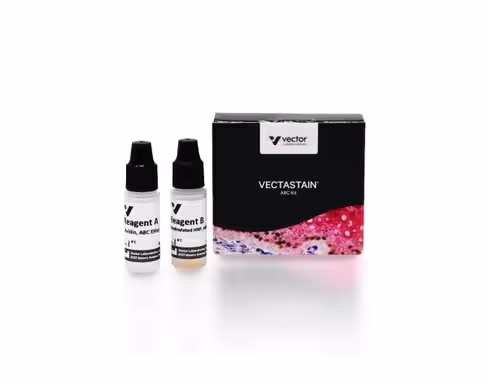Vectastain elite abc kit (standard)