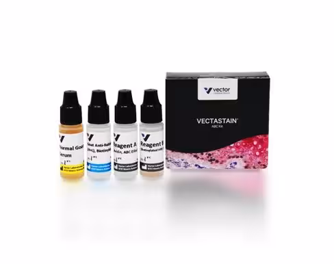 Vectastain elite abc kit (rabbit igg)